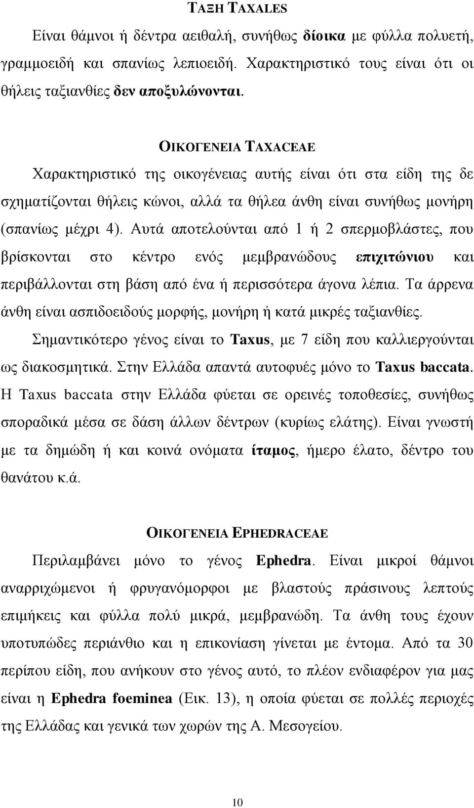 Απηά απνηεινύληαη από 1 ή 2 ζπεξκνβιάζηεο, πνπ βξίζθνληαη ζην θέληξν ελόο κεκβξαλώδνπο επηρηηώληνπ θαη πεξηβάιινληαη ζηε βάζε από έλα ή πεξηζζόηεξα άγνλα ιέπηα.