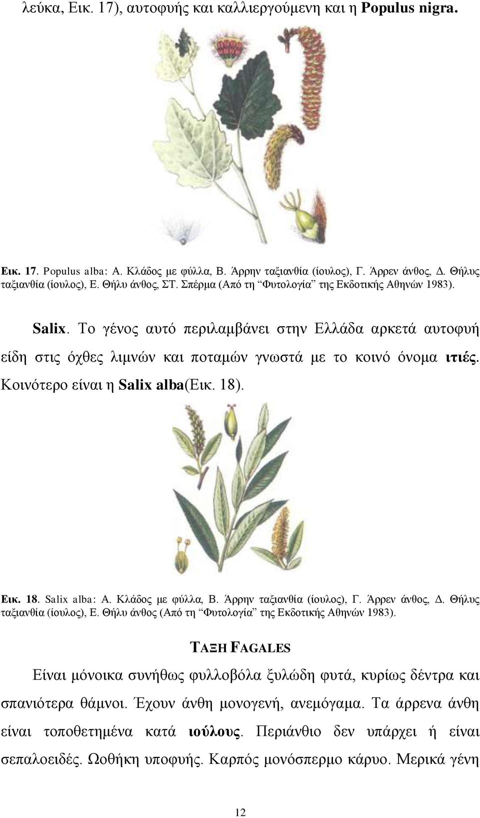Κνηλόηεξν είλαη ε Salix alba(δηθ. 18). Δηθ. 18. Salix alba: Α. Κιάδνο κε θύιια, Β. Άξξελ ηαμηαλζία (ίνπινο), Γ. Άξξελ άλζνο, Γ. Θήιπο ηαμηαλζία (ίνπινο), Δ.