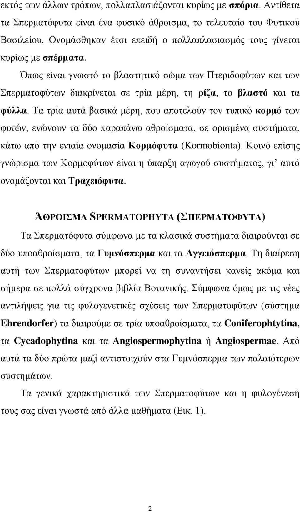 Όπσο είλαη γλσζηό ην βιαζηεηηθό ζώκα ησλ Πηεξηδνθύησλ θαη ησλ πεξκαηνθύησλ δηαθξίλεηαη ζε ηξία κέξε, ηε ξίδα, ην βιαζηό θαη ηα θύιια.