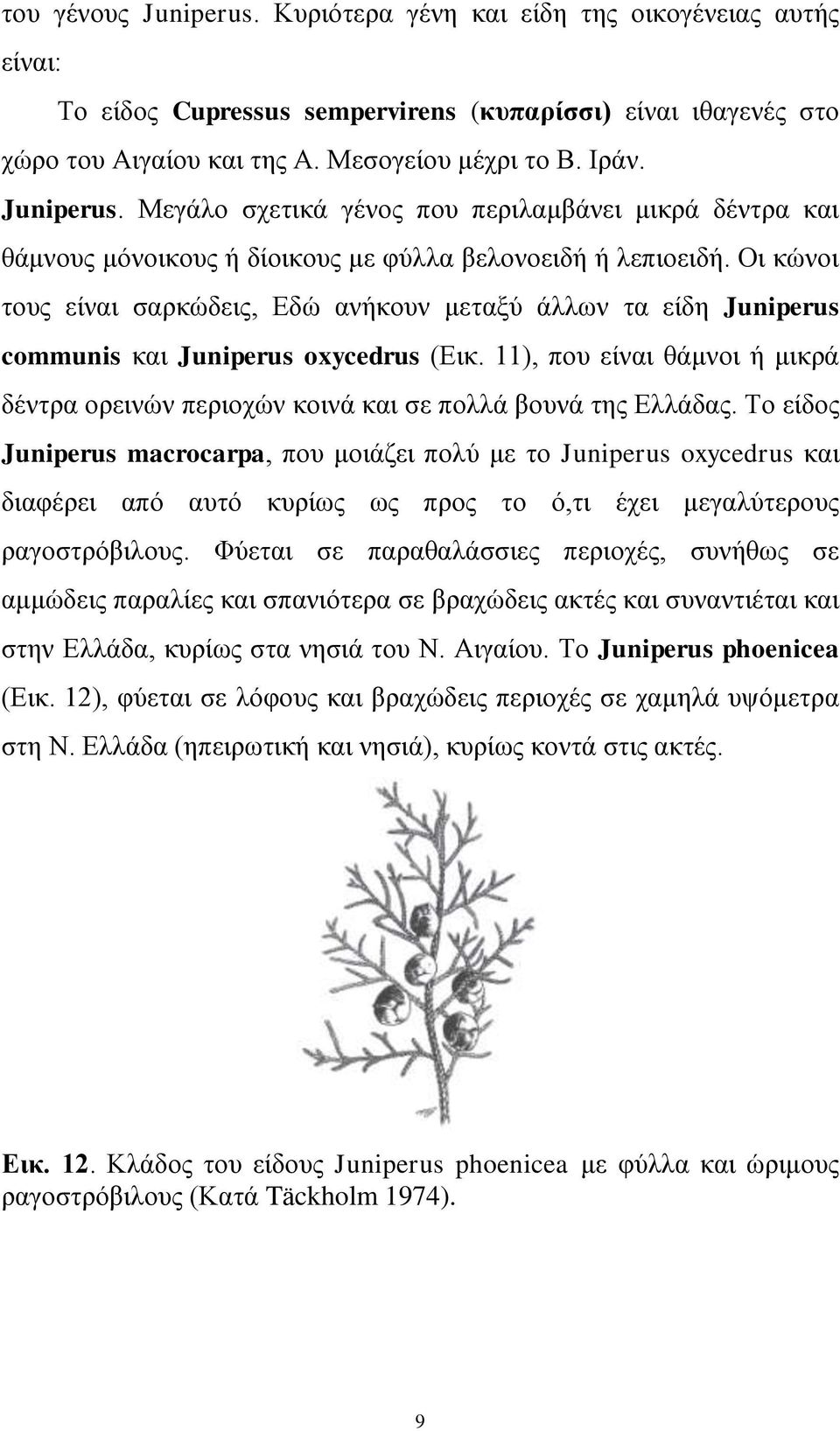 Οη θώλνη ηνπο είλαη ζαξθώδεηο, Δδώ αλήθνπλ κεηαμύ άιισλ ηα είδε Juniperus communis θαη Juniperus oxycedrus (Δηθ.