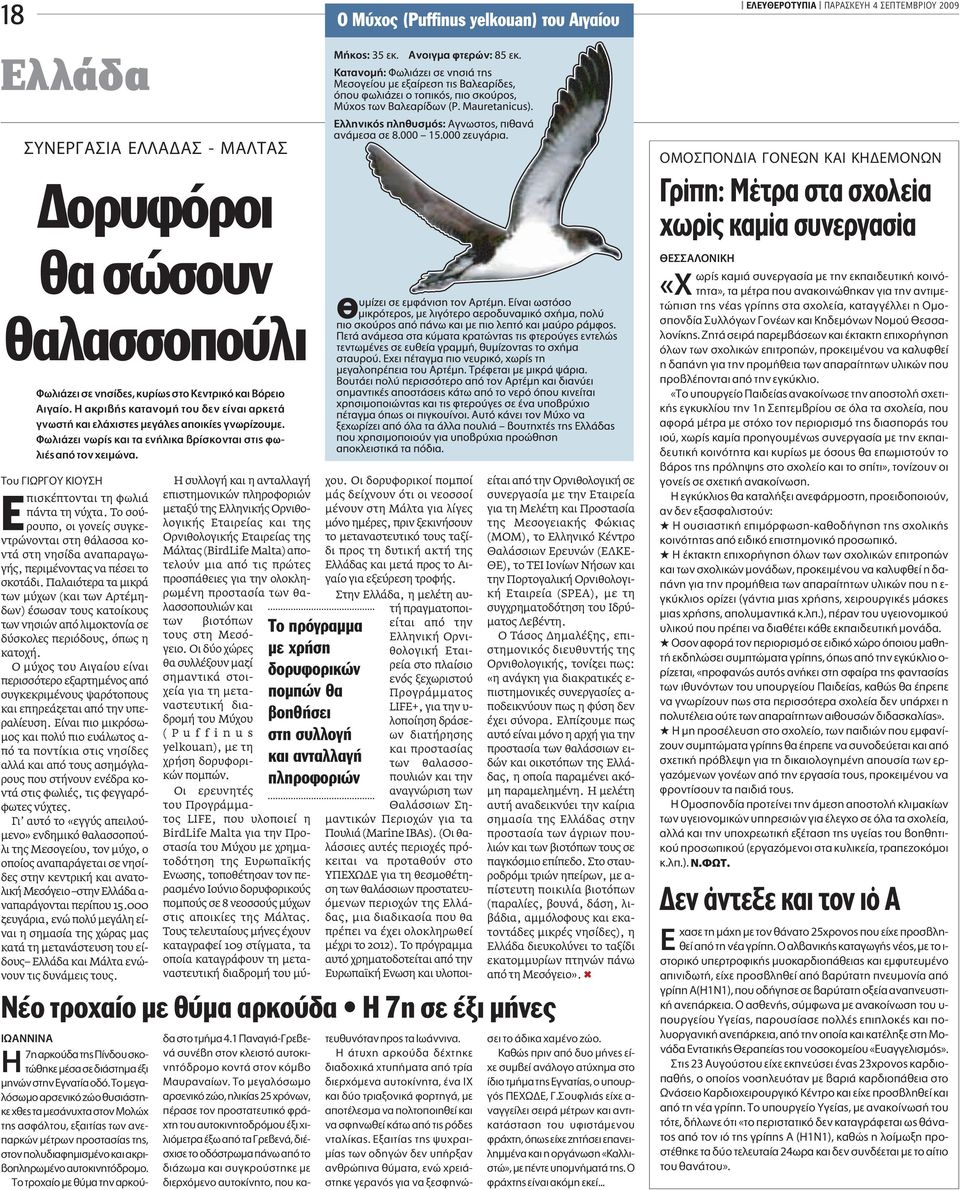 Το σούρουπο, οι γονείς συγκεντρώνονται στη θάλασσα κοντά στη νησίδα αναπαραγωγής, περιµένοντας να πέσει το σκοτάδι.