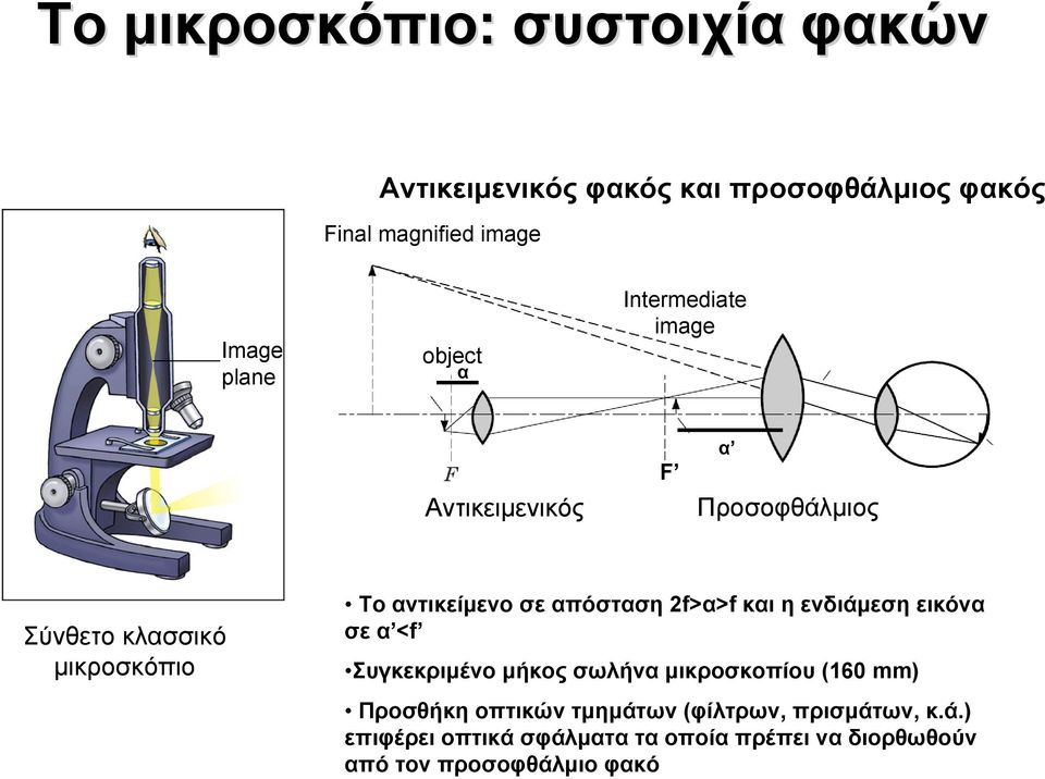 απόσταση 2f>α>f και η ενδιάμεση εικόνα σε α <f Συγκεκριμένο μήκος σωλήνα μικροσκοπίου (160 mm) Προσθήκη οπτικών