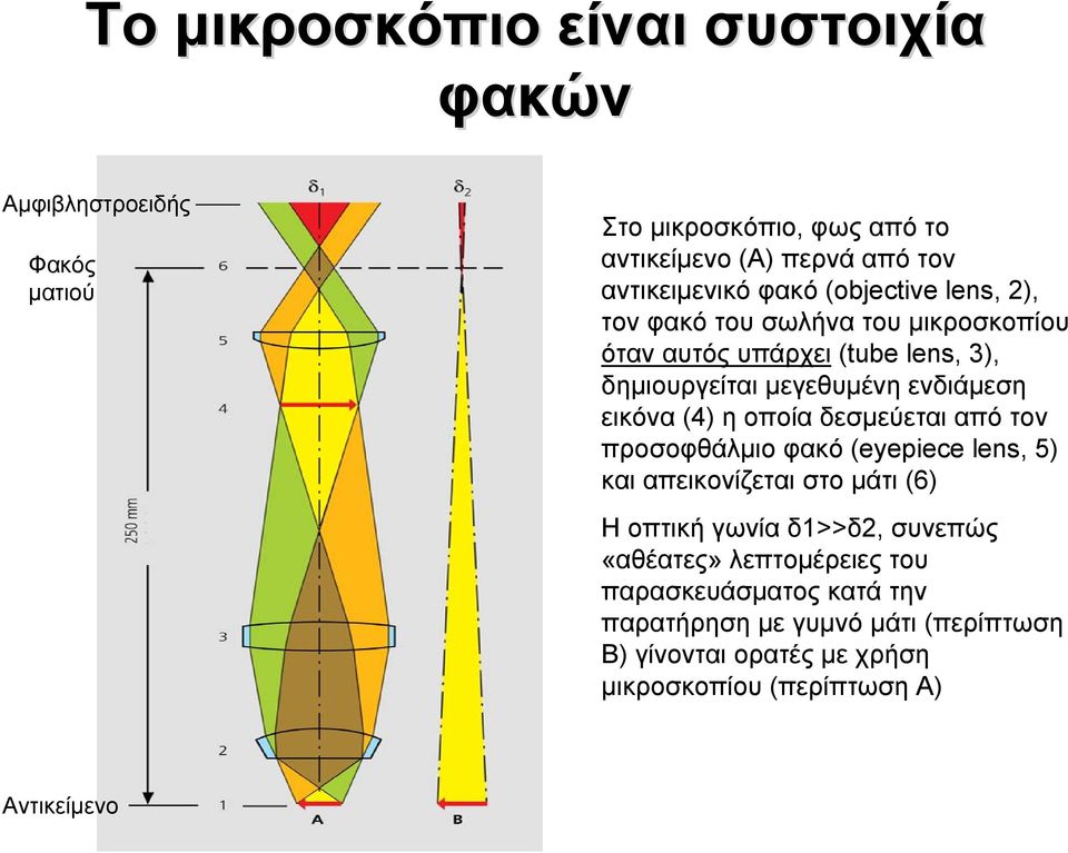 (4) η οποία δεσμεύεται από τον προσοφθάλμιο φακό (eyepiece lens, 5) και απεικονίζεται στο μάτι (6) Η οπτική γωνία δ1>>δ2, συνεπώς «αθέατες»