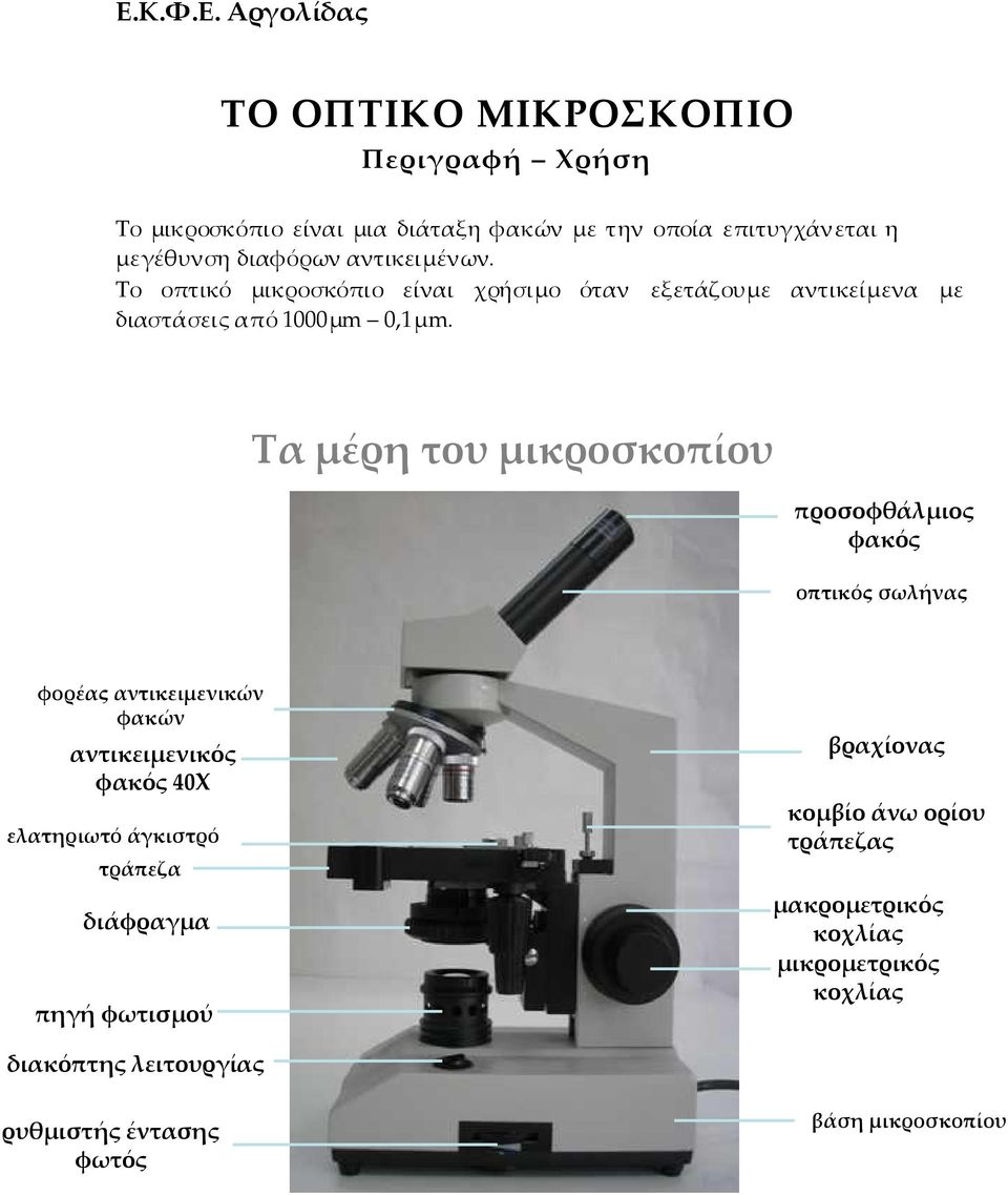 Τα µέρη του µικροσκοπίου προσοφθάλµιος φακός οπτικός σωλήνας φορέας αντικειµενικών φακών αντικειµενικός φακός 40Χ ελατηριωτό άγκιστρό