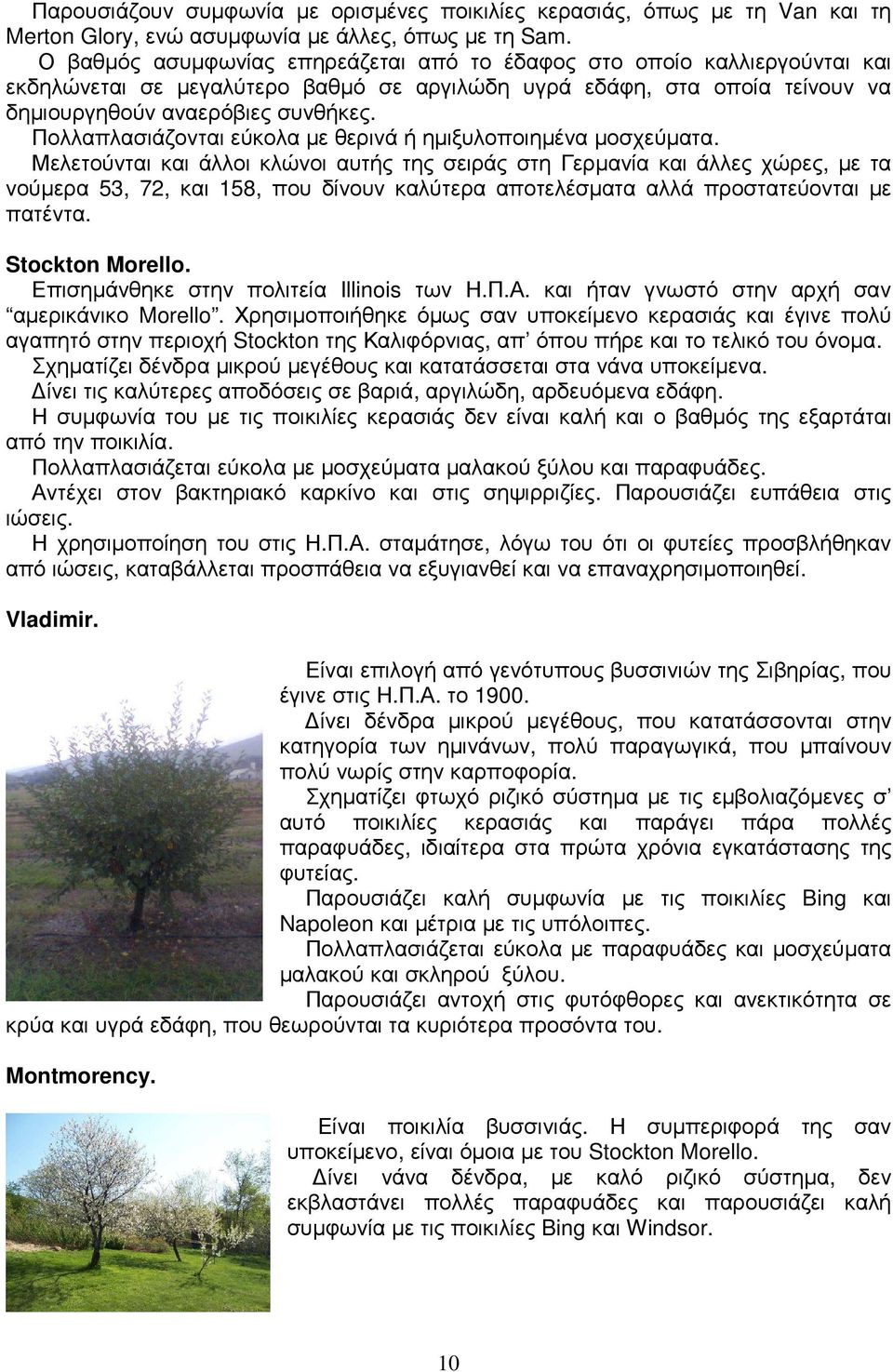 Πολλαπλασιάζονται εύκολα µε θερινά ή ηµιξυλοποιηµένα µοσχεύµατα.