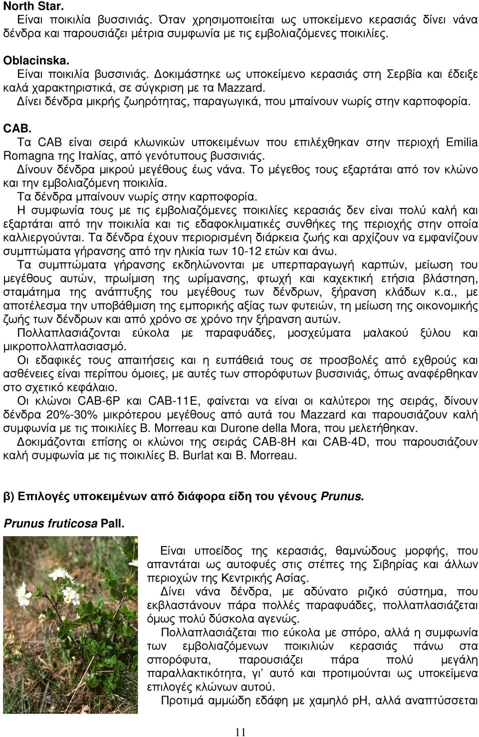 ίνει δένδρα µικρής ζωηρότητας, παραγωγικά, που µπαίνουν νωρίς στην καρποφορία. CAB.