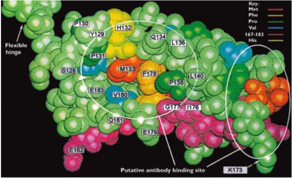 Διάγνωση ΠΧΚ PDC-E2