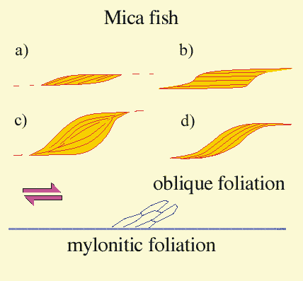 Εικ. 19 Σχηματική απεικόνιση των διαφόρων τύπων mica fish και η γεωμετρική σχέση τους με τη μυλωνιτική και λοξή φύλλωση που παρατηρούνται σε ένα μυλωνίτη.
