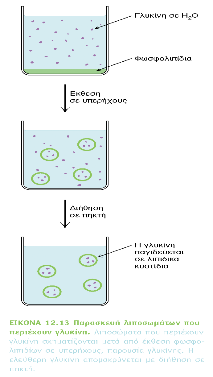 BIOXHMEIA, TOMOΣ I ΠANEΠIΣTHMIAKEΣ EKΔOΣEIΣ