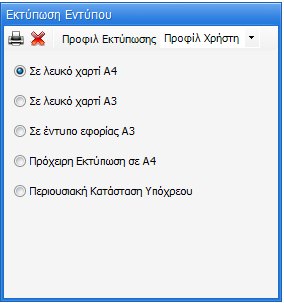 3 Εκτύπωση Εντύπου Με την επιλογή παρέχεται δυνατότητα εκτύπωσης του εντύπου Ε9 καθώς και δυνατότητα εκτύπωσης της Περιουσιακής Κατάστασης Υπόχρεου από τις παρακάτω επιλογές ΠΡΟΣΟΧΗ: Σύμφωνα με τις