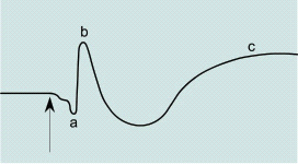 Η κανονική εγγραφή του ERG αποτελείται από τα ακόλουθα κύματα: Κύμα α: Είναι ένα αρνητικό κύμα που μπορεί να προκύψει από τα ραβδία και τα κωνία Κύμα β: Είναι ένα μεγάλο θετικό κύμα το οποίο