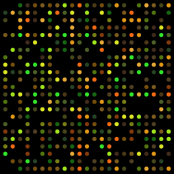 in kvantitativna analiza slike, napredna mikroskopija visoke ločljivosti, elektrofiziološke meritve prevodnosti ionskih kanalov in kapacitivnosti membrane, imunocitokemija, molekulska biologija in