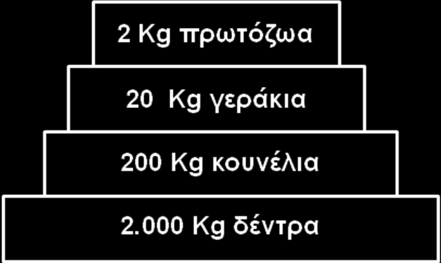 και 4 ου Τροφικού επιπέδου παρατηρείται παρασιτική τροφική σχέση και γι αυτό το σχήμα της πυραμίδας στα δύο τελευταία τροφικά επίπεδα αντιστρέφεται.