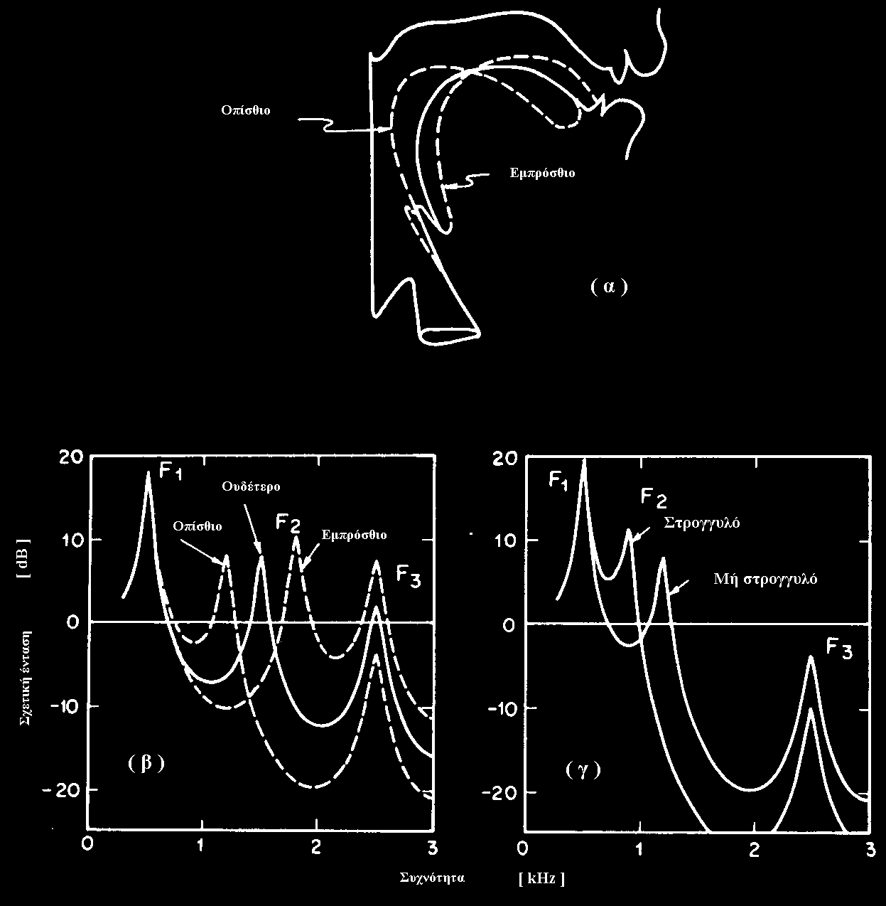 Παραδείγματα της σχέσης ανάμεσα στις μορφές της φωνητικής οδού και τις φασματικές περιβάλλουσες φωνηέντων: (α) σχηματική αναπαράσταση της τοξοειδούς διατομής της φωνητικής οδού για ένα ουδέτερο