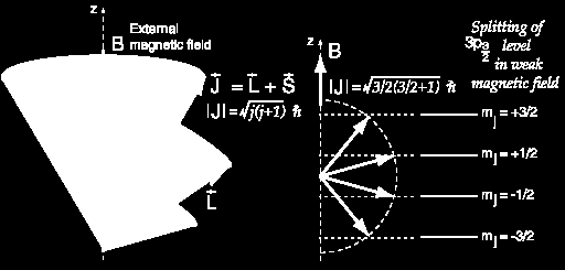 Ολική στροφορμή: παράδειγμα για l = 1 Κβαντικός αριθμός της ολικής στροφορμής: j = l±s = 1±1/2 = 3/2, 1/2 Μαγνητικός