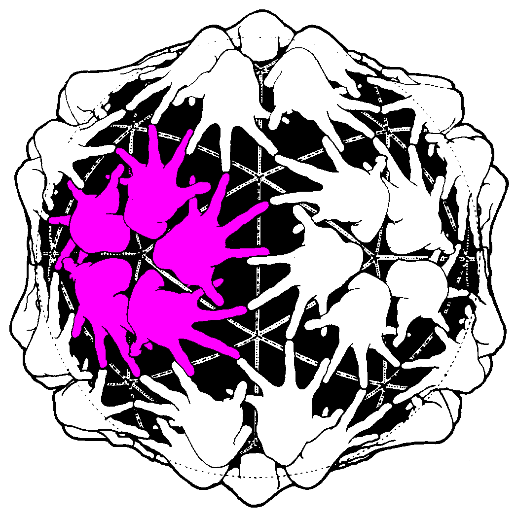 Icosahedral (532) Point Group Symmetry 30 dimers 20