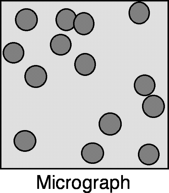 Icosahedral Particle Image