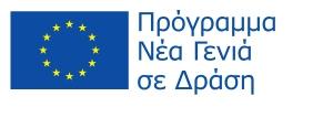 6.2.2 ΠΡΟΓΡΑΜΜΑ YOUTH IN ACTION Το συγκεκριμένο πρόγραμμα έχει σαν τίτλο: «Εργαστήριο Εκπαίδευσης Ομάδας Εθελοντών.