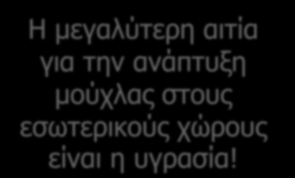 μούχλας στους