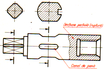 Reprezentarea formelor constructive in vedere si in sectiune 8p Figura 4.