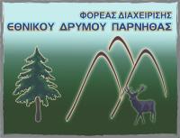 Διαγωνισμός για τα Δάση και τη Δασοπονία Young People in European Forests ΑΙΤΗΣΗ ΣΥΜΜΕΤΟΧΗΣ ΥΠΕΥΘΥΝΗ ΔΗΛΩΣΗ 1ος διαγωνιζόμενος/-η 2ος διαγωνιζόμενος/-η 3ος διαγωνιζόμενος/-η Όνομα Επώνυμο Τάξη