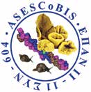 ΠΡΟΓΡΑΜΜΑ ΣΥΝΕΡΓΑΣΙΑ_ Έρευνα & Ανάπτυξη / Νοέμβριος 2015 6 ASESCoBIS: Σπόγγοι του Αιγαίου και εδώδιμα σαλιγκάρια ως εναλλακτικές πηγές κολλαγόνου και βιοδραστικών ουσιών www.asescobis.