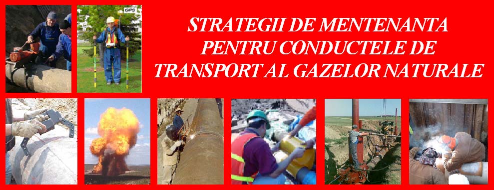 Prof. univ. dr. ing. Gheorghe ZECHERU Conf. univ. dr. ing. Gheorghe DRĂGHICI Dr. ing. Ilie E.
