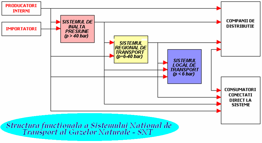 Prezentare