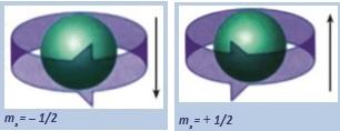 Ο κβαντικός αριθμός του spin (m s ). Ο κβαντικός αριθμός του spin (m s ) παίρνει τιμές +1/2 ή -1/2 και είναι ανεξάρτητος από τις τιμές των άλλων κβαντικών αριθμών.