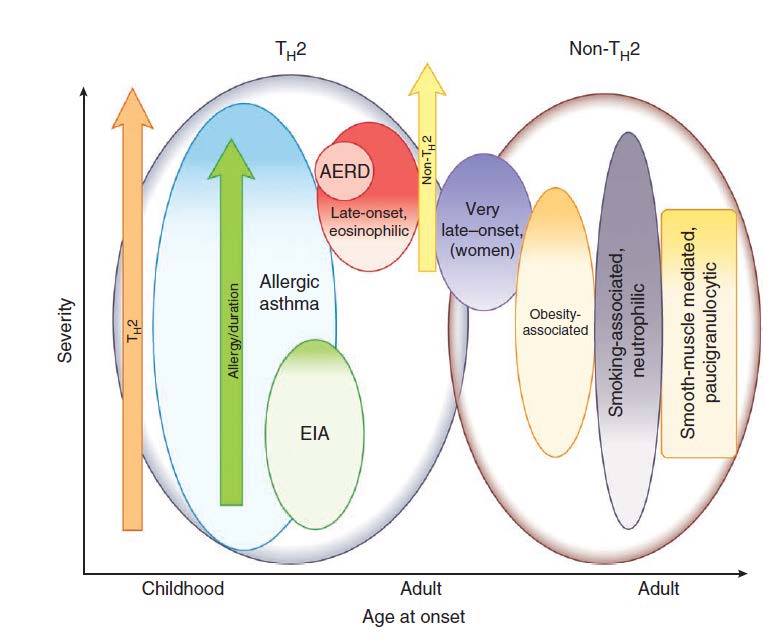 Κλινικοί φαινότυποι σοβαρού άσθματος και η
