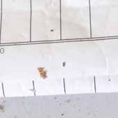 4. Χαρτί/ Χαρτόνι G150 - Χάρτινες Συσκευασίες Tetrapack (Γάλα) G151 - Χάρτινες συσκευασίες Tetrapack (Άλλες) G152 - Πακέτα τσιγάρων G153 - Ποτήρια, Συσκευασίες