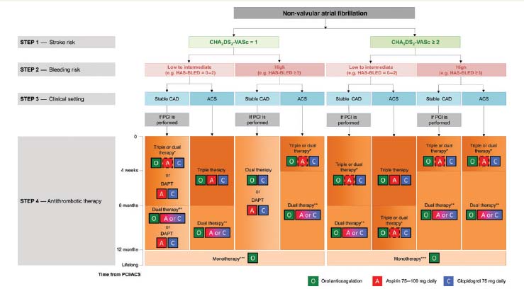 Management of antithrombotic therapy in atrial fibrillation patients presenting with acute coronary