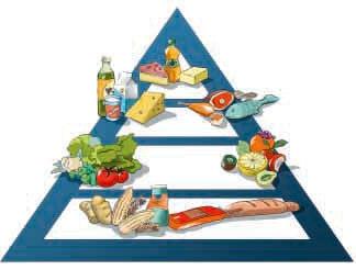 Μια πυραμίδα υγιεινής διατροφής Ομάδα γάλακτος: γάλα, γιαούρτι, τυρί Ομάδα λαχανικών: μαρούλια, ντομάτες, πιπεριές Ομάδα δημητριακών: ψωμί, ρύζι,