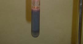 2.4 Διάσπαση υπεροξειδίου του υδρογόνου Σε ένα σωλήνα που υπάρχει σε στήριγμα, βάζουμε 4-5 ml H 2 O 2 (aq) περιεκτικότητας 5-10 % w/v. Με μια μικρή σπάτουλα προσθέτουμε μικρή ποσότητα MnO 2.