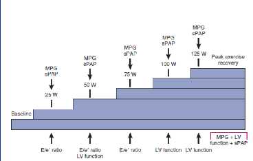 Exercise echocardiography From a practical standpoint, exercise testing is more physiologic than a dobutamine stress test. A symptom-limited graded exercise test is recommended.