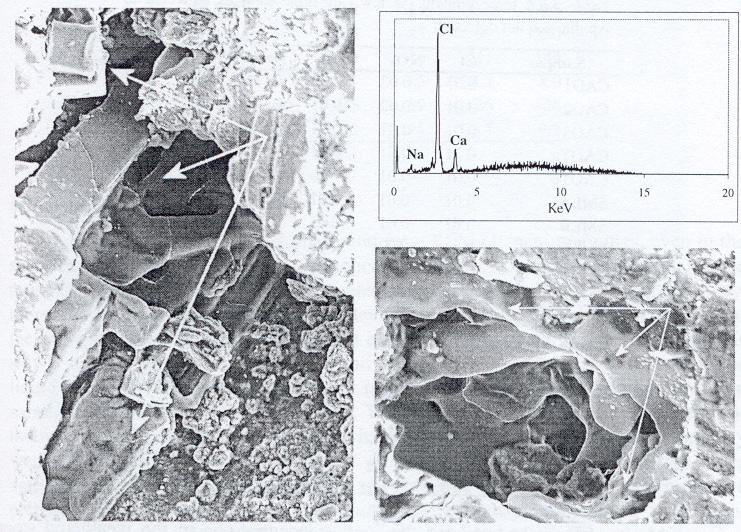 IV-Β.4 ΚΡΥΣΤΑΛΛΩΣΗ ΑΛΑΤΩΝ Μικρογραφία SEM που παρουσιάζει το εσωτερικό πόρων λίθου.