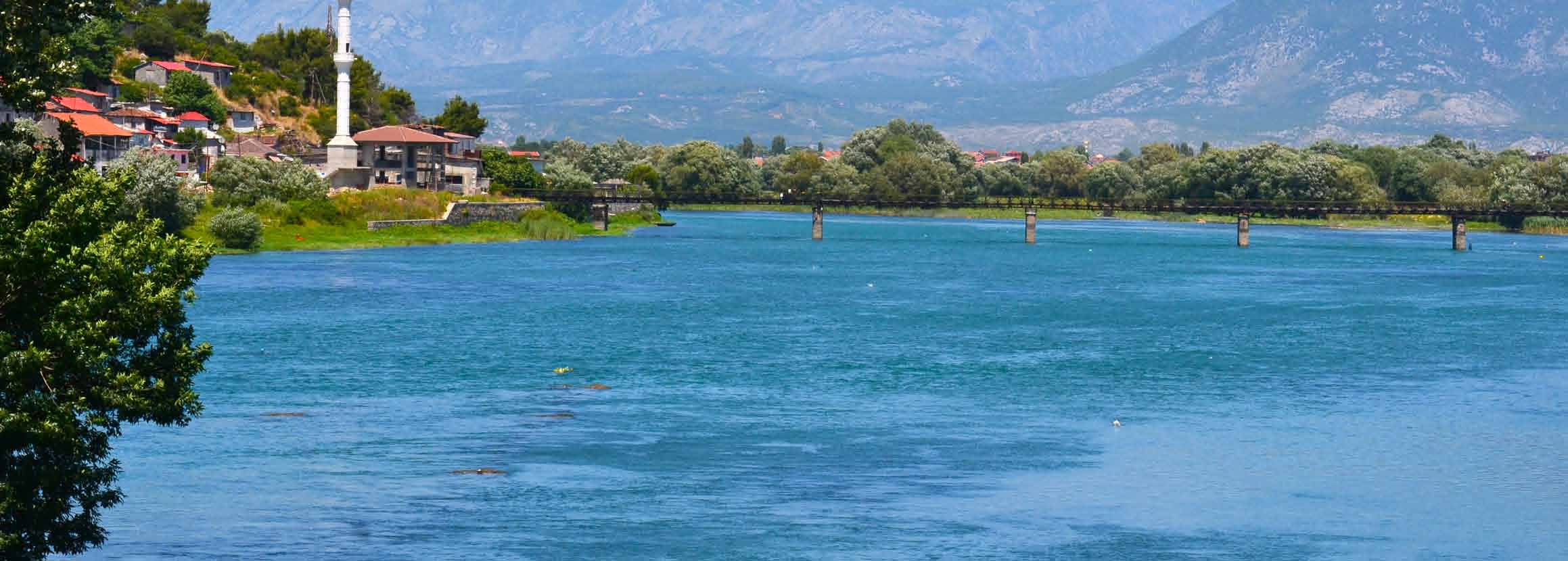 Phalacrocorax carbo Gregor Šubic Baseni i Lumit Drin: pjesa lidhëse e ujit të Ballkanit jug-perëndimor Baseni i lumit Drin shrihet në një pjesë gjeografike rreth 19.