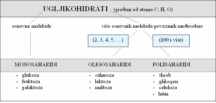 UGLJIKOHIDRATI Ugljikohidrati su spojevi građeni isključivo od atoma ugljika, vodika i kisika (spojevi unutar kojih se nalaze molekule vode).