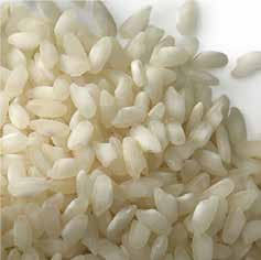 Καρπός Ο κόκκος του ρυζιού είναι καρύοψη και περιβάλλεται από τον χιτώνα και τη λεπίδα ακόµα και µετά τον αλωνισµό. Το ρύζι υπό τη µορφή αυτή είναι γνωστό µε τη διεθνή ονοµασία paddy.