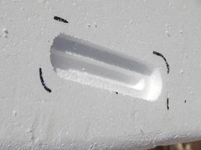 α β γ δ Εικόνα 23: άνοιγμα οπών με το router Τελειώνοντας με την δημιουργία των οπών, πρέπει να τοποθετηθούν οι βάσεις των πτερυγίων.