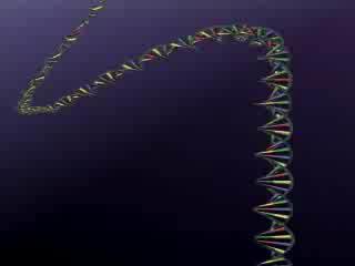 DNA structure