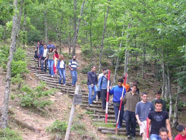 Εκπαίδευση Φοιτητών-Έρευνα Κάθε χρόνο, οι φοιτητές 4ου εξαμήνου της Σχολής ασολογίας Φυσικού Περιβάλλοντος ασκούνται επί ένα μήνα στο δάσος με την καθοδήγηση διδακτικού προσωπικού της Σχολής.