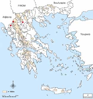 Ajuga piskoi Degen & Bald. Τρωτό (VU) Labiatae Ajuga piskoi Degen & Bald. in Oesterr. Bot. Z. 46: 414 (1896). Τύπος: [Αλβανία] in humidis prope Diovisda, distr. Ljaskovik (Leskovik), 7 Jul.