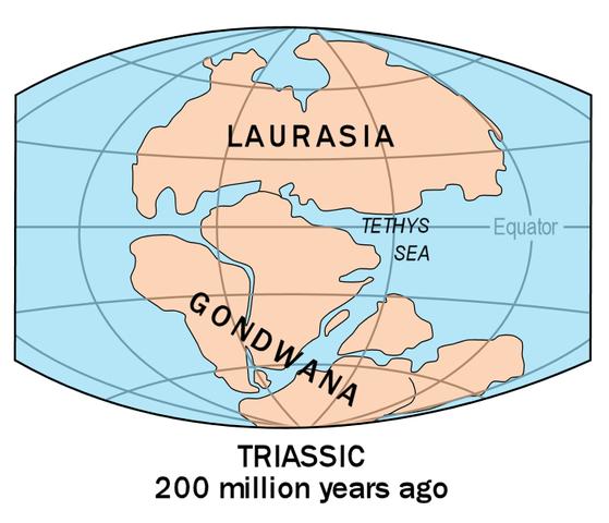 vytvoril superkontinent Pangea. Hladina mora bola oveľa vyššie ako dnes, po krátkom ústupe koncom ordoviku sa opäť zvýšila, čo spôsobilo vznik plytkých morí, v ktorých prekvital život.