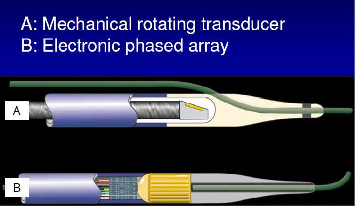 Intravascular