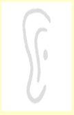 Cognitive and Computational Musicology Group Αντίληψη της μουσικής σε άτομα με κοχλιακά εμφυτεύματα Γιώργος Παπαδέλης papadeli@mus.auth.