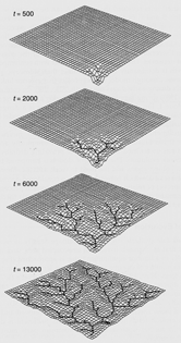 Σχηµατική προσοµοίωση της ανάπτυξης ενός υδρογραφικού δικτύου µε την πάροδο του χρόνου (Willgoose et al.. 1991).