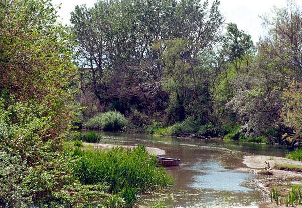 ΔΕΛΤΑ Υδάτινα οικοσυστήματα Τύποι υγροτόπων κοίτες ποταμών (τις περισσότερες φορές διευθετημένες εγκιβωτισμένες), λιμνοθάλασσες, παράκτια