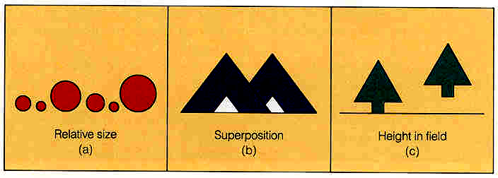 Μονοφθαλµικά σήµατα Αντίληψη της Απόστασης Σχετικό µέγεθος (Α) Επικάλυψη (Β) Σχετικό ύψος (Γ) ιοφθαλµικά σήµατα (στερεοσκόπιο συσκευή που δείχνει µία διαφορετική φωτογραφία σε κάθε µάτι