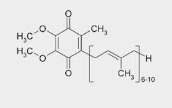 ΑΝΑΠΝΕΥΣΤΙΚΗ ΑΛΥΣΙΔΑ Συνένζυμο Q Γνωστό και σαν ουβικινόνη. Παράγωγο της κινόνης με μία μακριά ισοπρενοειδή αλυσίδα.
